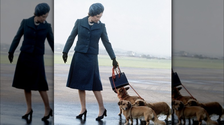 Queen Elizabeth walking her corgis 