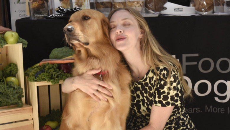 Amanda Seyfried with dog