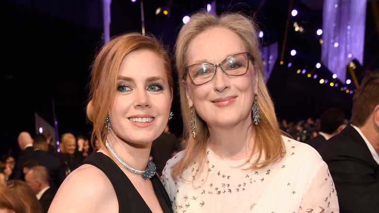 Amy Adams and Meryl Streep smiling 