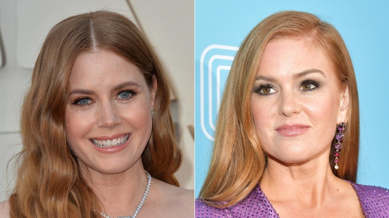 Amy Adams smiling (left), Isla Fisher smirking (right)