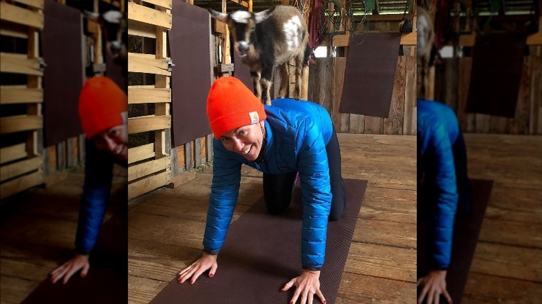 Brooke Baldwin doing goat yoga