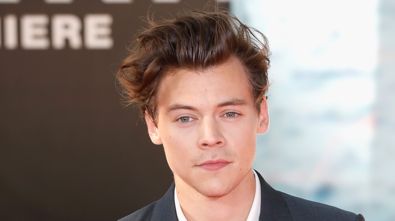 Essential Harry Styles Facts For Every Superfan