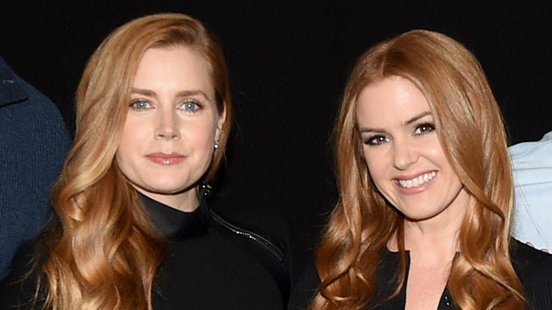 Amy Adams and Isla Fisher at an event