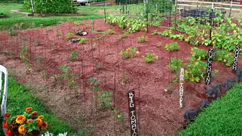 Jana Duggars garden