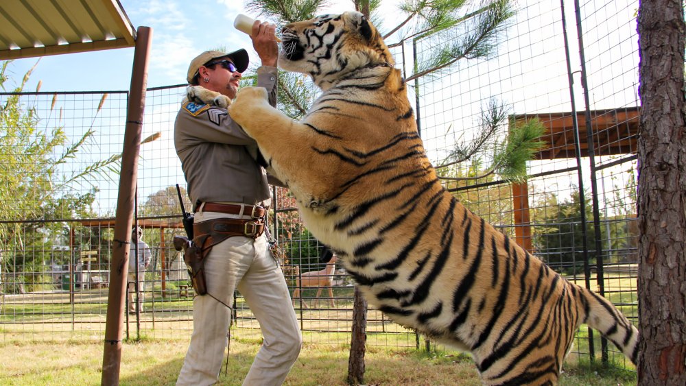 Joe Exotic of 'Tiger King'