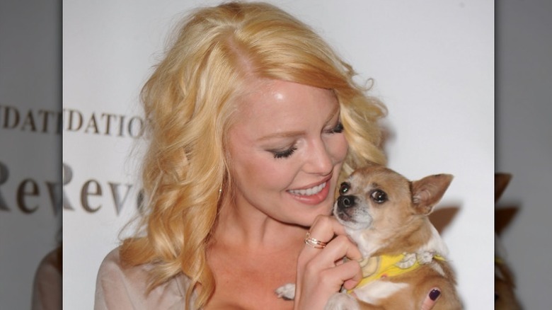 Katherine Heigl at dog foundation gala, cuddling a puppy