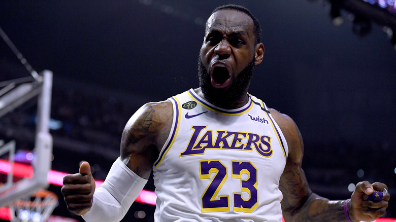 LeBron James roaring with excitement