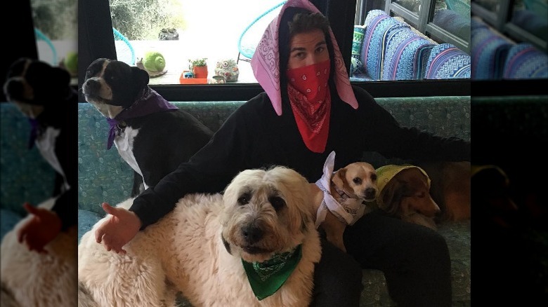 Liam Hemsworth on couch with dogs