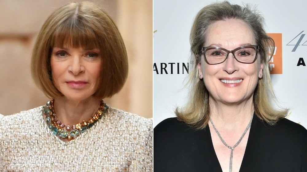 Anna Wintour and Meryl Streep composite image