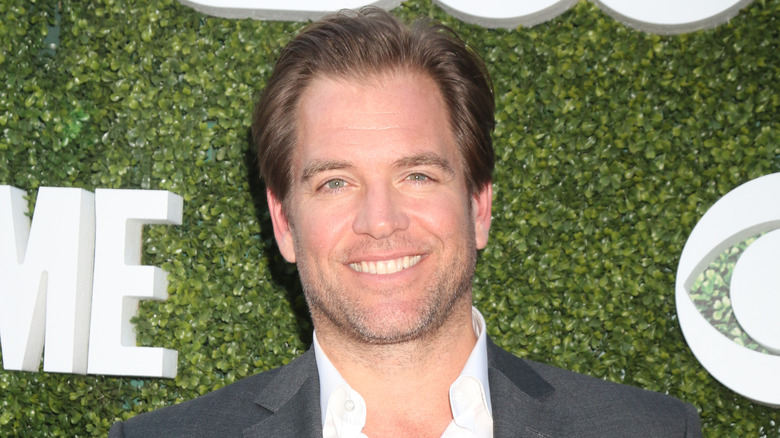 Michael Weatherly smiling