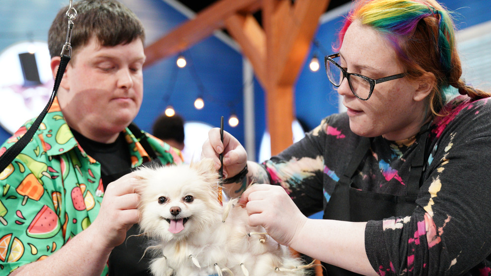 Groomers participating on 'Pooch Perfect'