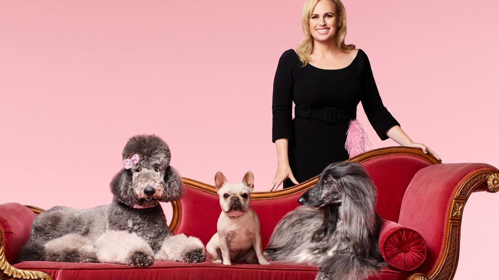 Rebel Wilson posing with dogs