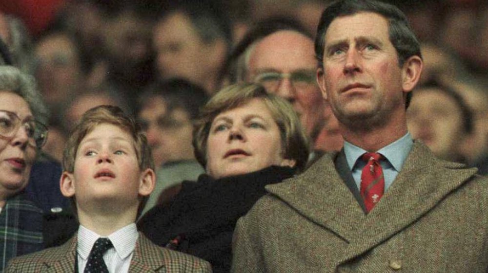 Young Prince Harry, Prince Charles