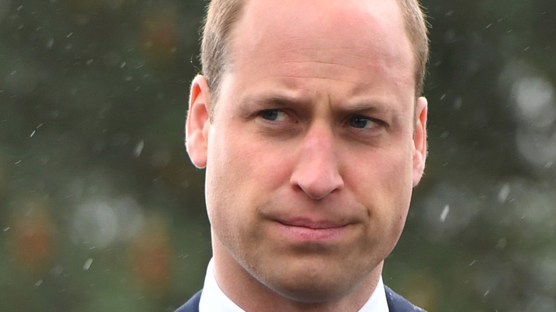 The Untold Truth Of Prince William