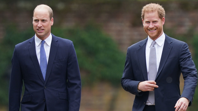 Princes William and Prince Harry at an event 