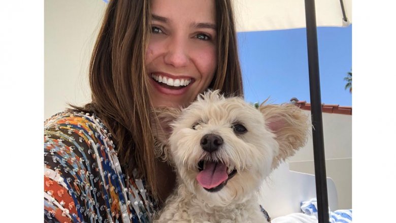 Sophia Bush with her dog