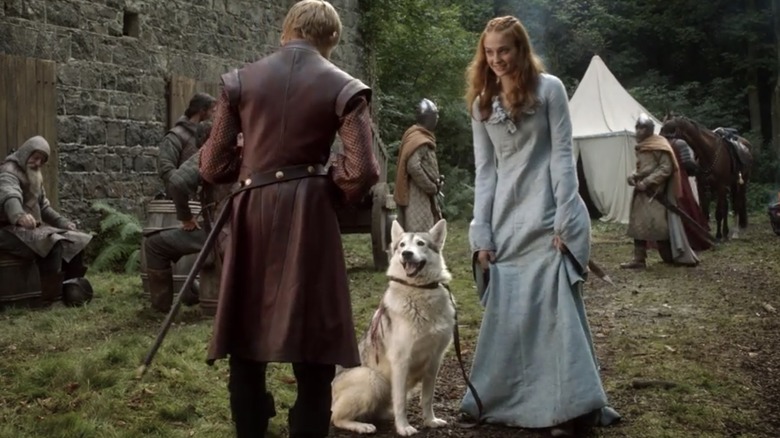 Sansa Stark with her direwolf Lady on Game of Thrones