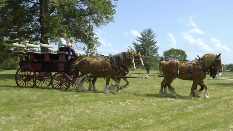 Billy and Christi Busch with horses