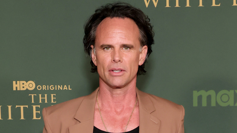 Walton Goggins posing at the premiere of The White Lotus season 3