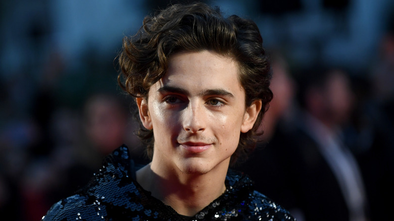 Timothée Chalamet posing