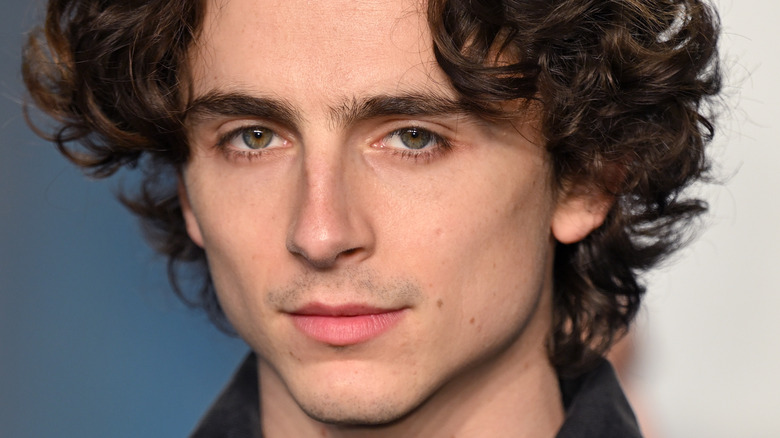 Timothée Chalamet is the new face of Chanel