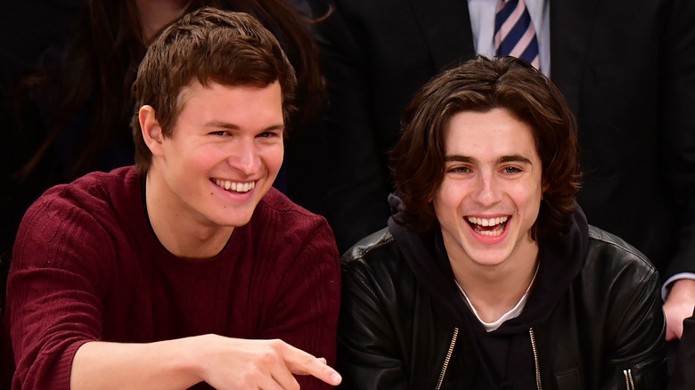 Ansel Elgort and Timothee Chalamet at a Knicks game