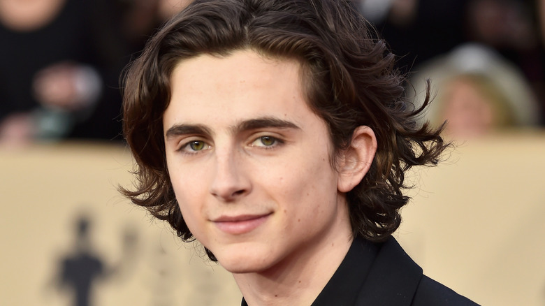 Timothee Chalamet posing