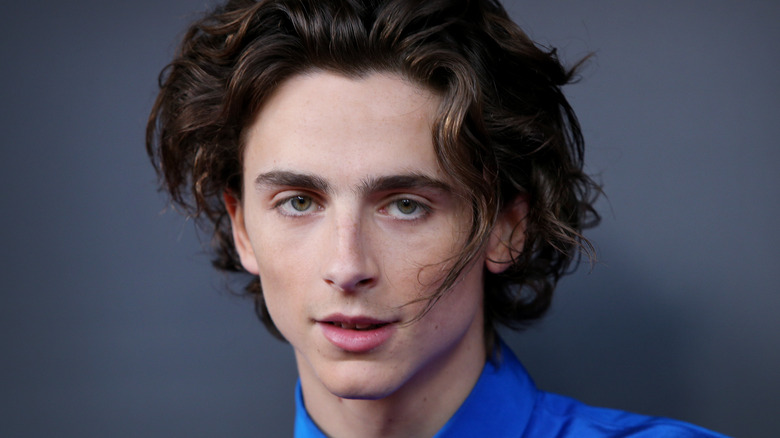 Timothée Chalamet: 16 Facts About The Wonka Star