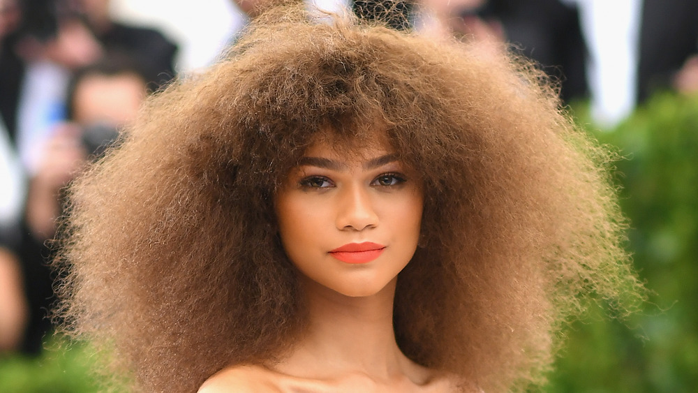 Zendaya with a big hairstyle