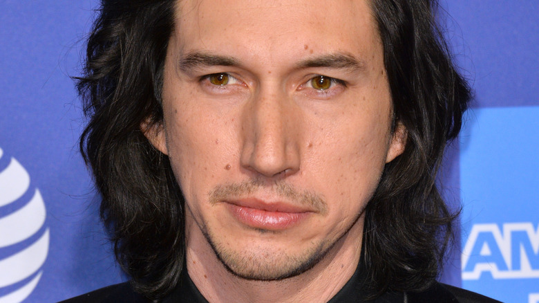 Adam Driver posing