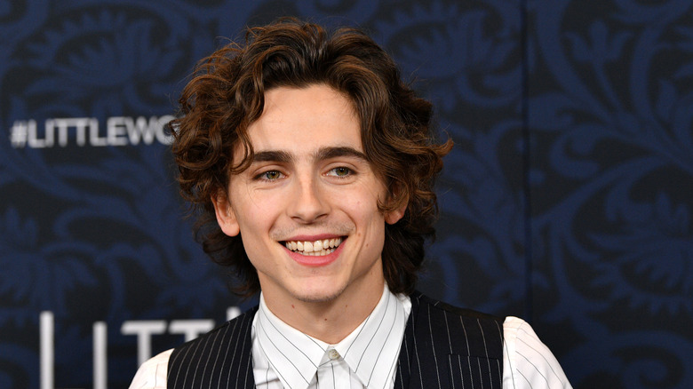 Timothée Chalamet at the "Little Women" World Premiere in 2019