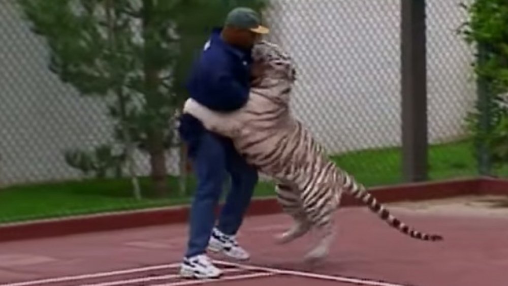 Mike Tyson wrestling his tiger