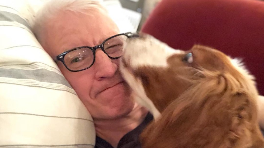 Anderson Cooper's dog licking his face 