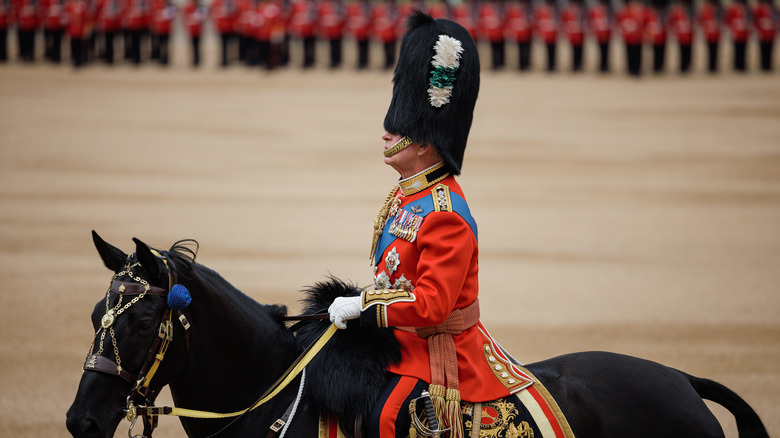 King Charles long bearskin hat covering eyes