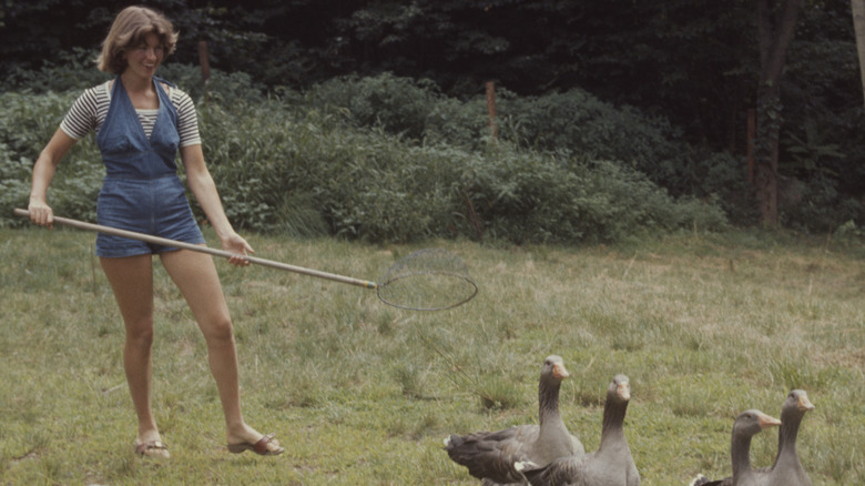 A young Martha Stewart smiles while herding her geese.