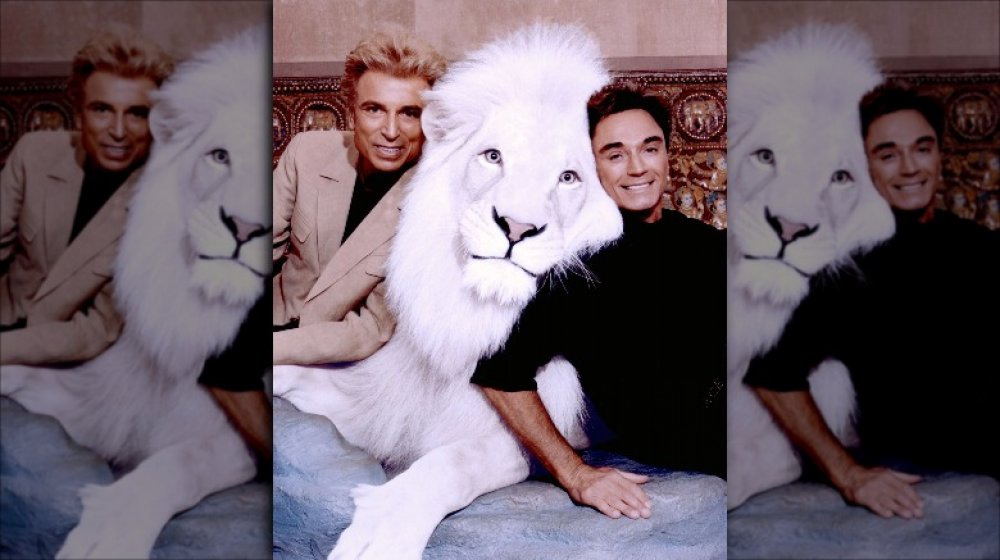 Siegfried Fischbacher, Roy Horn with white tiger