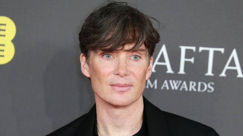 Cillian Murphy poses on red carpet