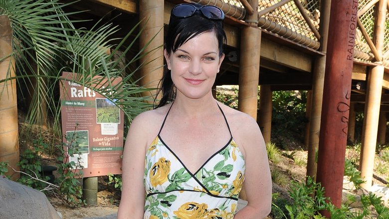 Pauley Perrette