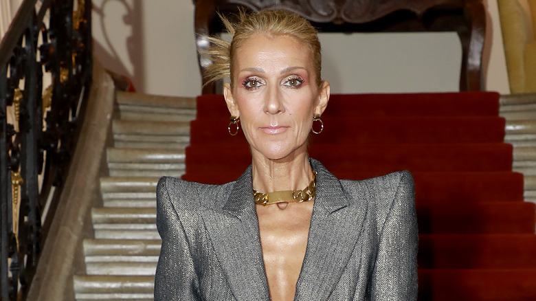 Celine Dion wearing jacket with pointy shoulders