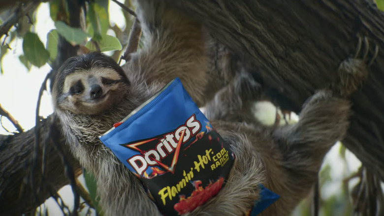 Sloth Flamin' Hot Cool Ranch Doritos