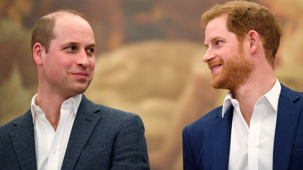 Princes William and Harry 