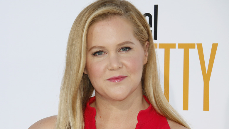 Times Amy Schumer Shut Down A Sexist Comment 4173