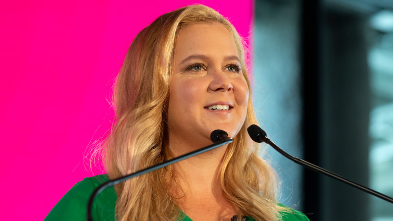 Times Amy Schumer Shut Down A Sexist Comment 8993