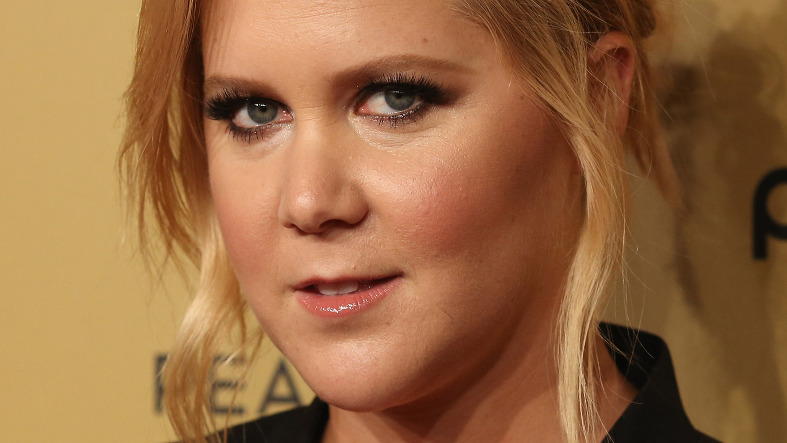 Times Amy Schumer Shut Down A Sexist Comment 4509