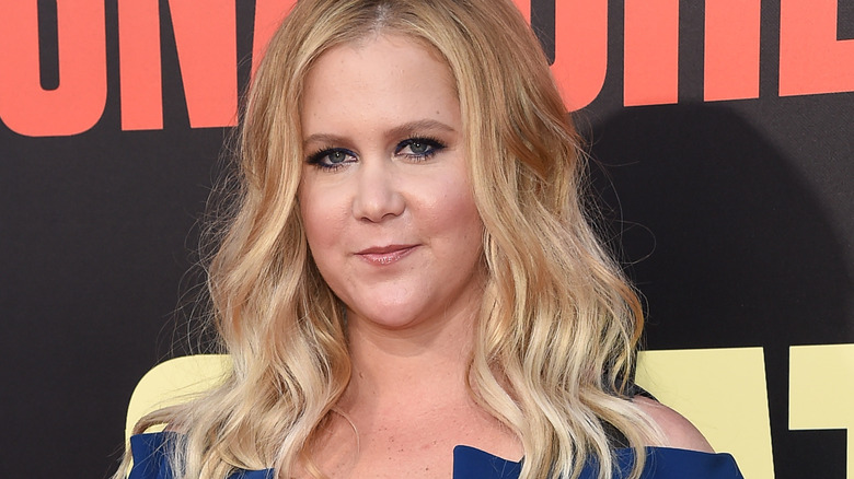 Amy Schumer smirking 