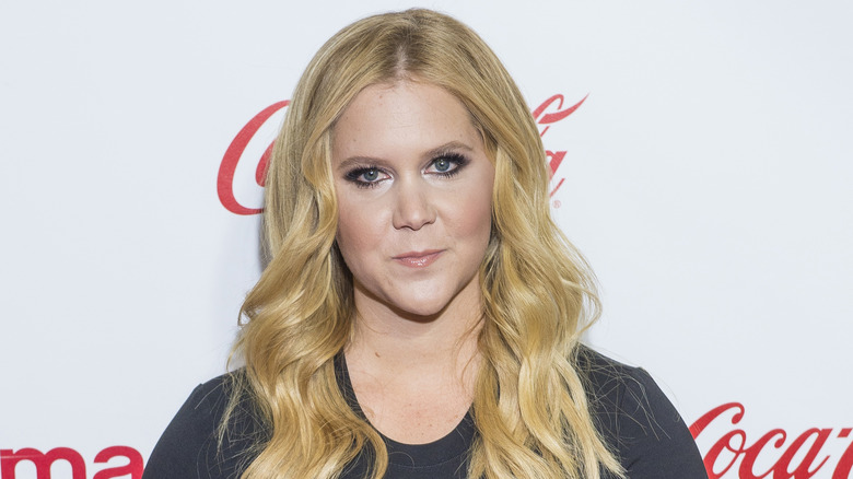 Times Amy Schumer Shut Down A Sexist Comment 9064