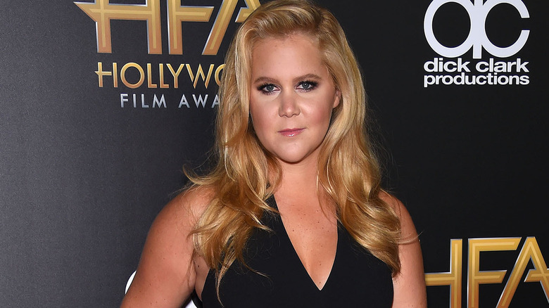 Times Amy Schumer Shut Down A Sexist Comment 6266