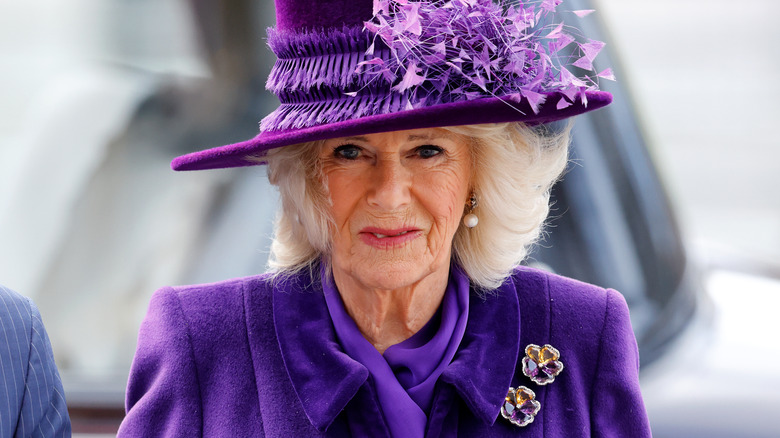 Camilla Parker Bowles smiling 