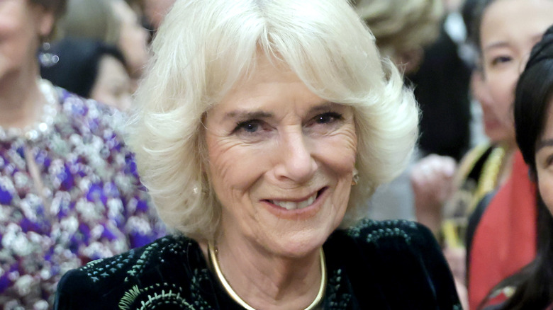 Camilla Parker Bowles smiling 