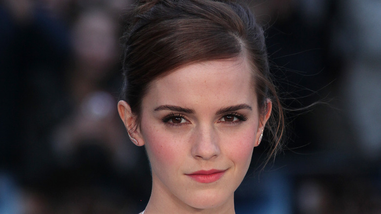 Times Emma Watson Shut Down A Sexist Comment